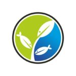 Логотип Eco Fish
