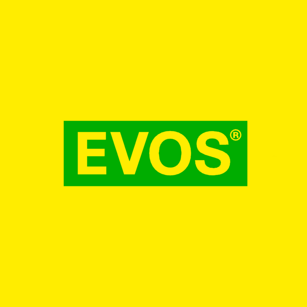 Логотип Evos