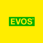 Логотип Evos